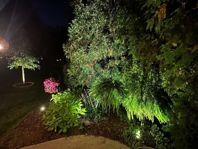 ZUCKEO 10W Low Voltage Landscape Lights LED Landscape Lighting with Connectors, 12V Outdoor Spotlights Yard Garden Pathway Lights, 1000LM Waterproof Warm White Light (14 Pack) customer photo 1