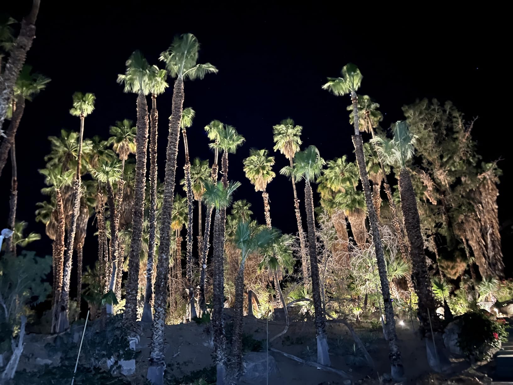 SUNVIE 24 Pack Low Voltage Landscape Lights LED Spotlights with Connectors customer photo 1