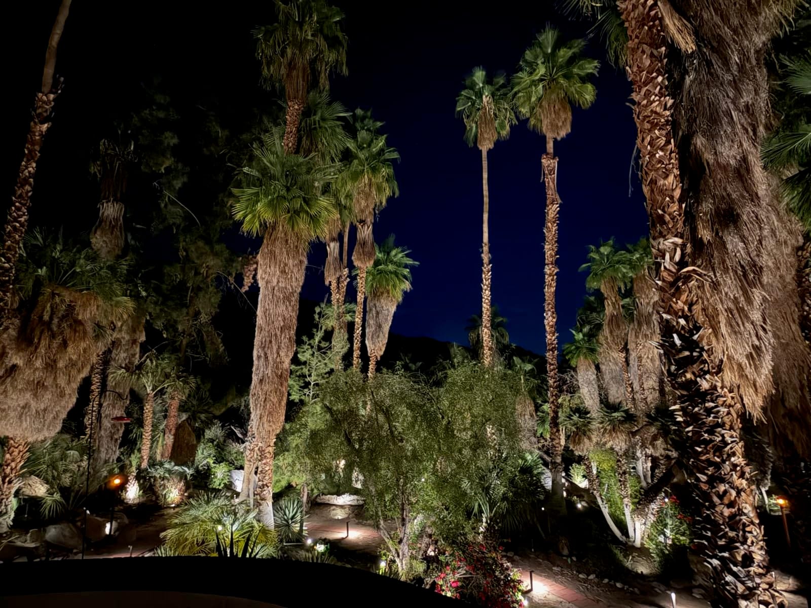SUNVIE 24 Pack Low Voltage Landscape Lights LED Spotlights with Connectors customer photo 2
