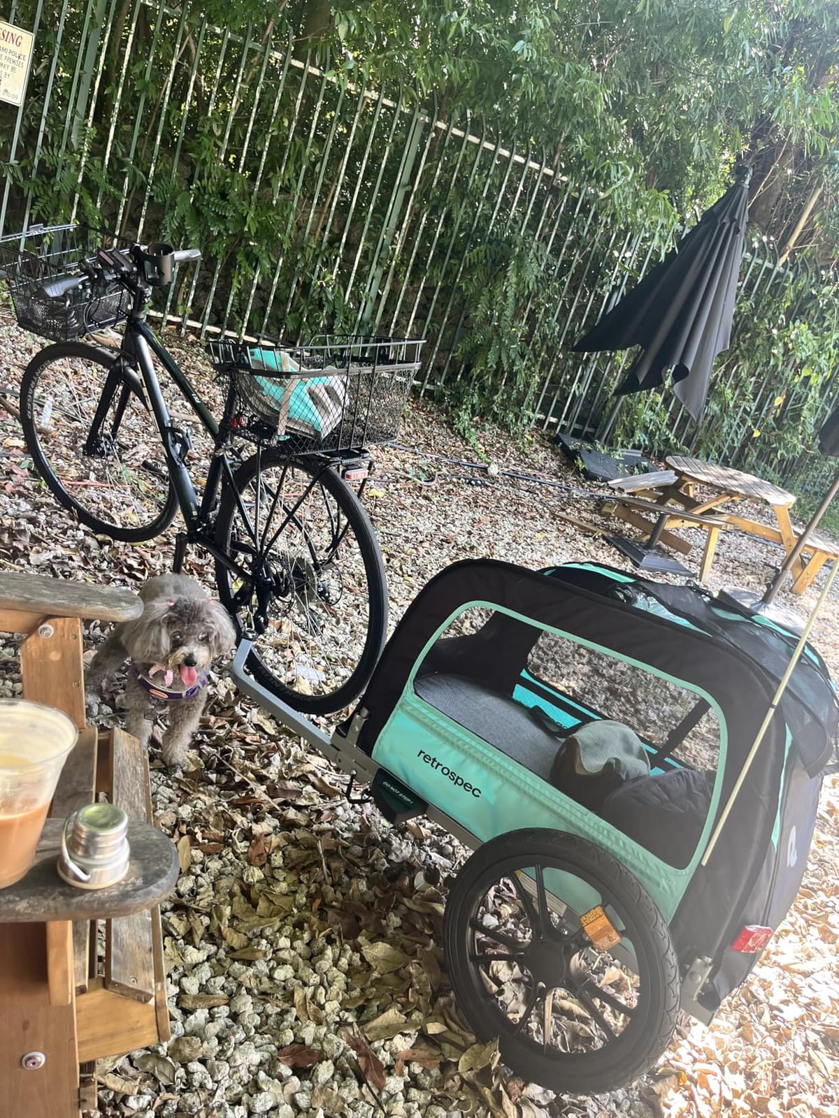 Retrospec Rover Waggin' Pet and Dog Bike Trailer with Weather-Resistant Canopy & Mesh Shield - Foldable Frame, 16in Wheels with Storage Pouch & Internal Safety Leash Supports up to 50 lbs customer photo 2