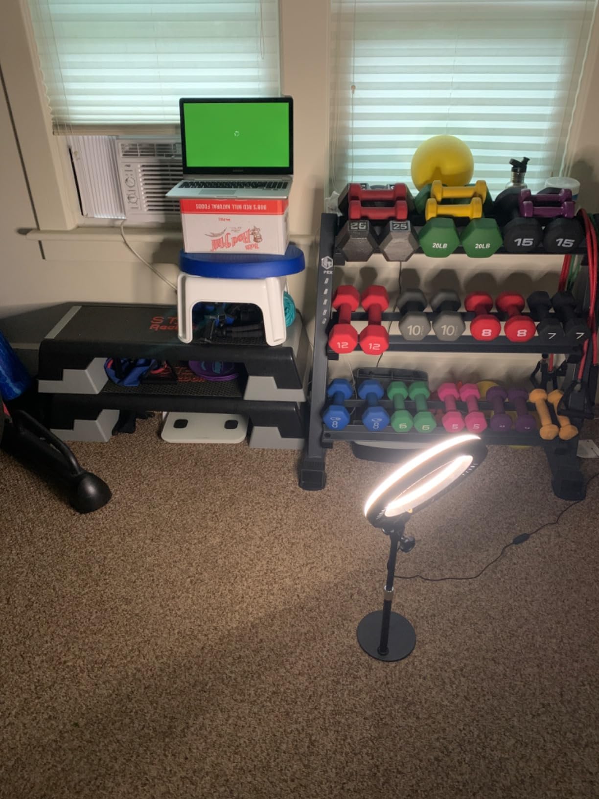 Desk Ring Light with Stand for Computer, Desk Light for Video Recording | 10.5