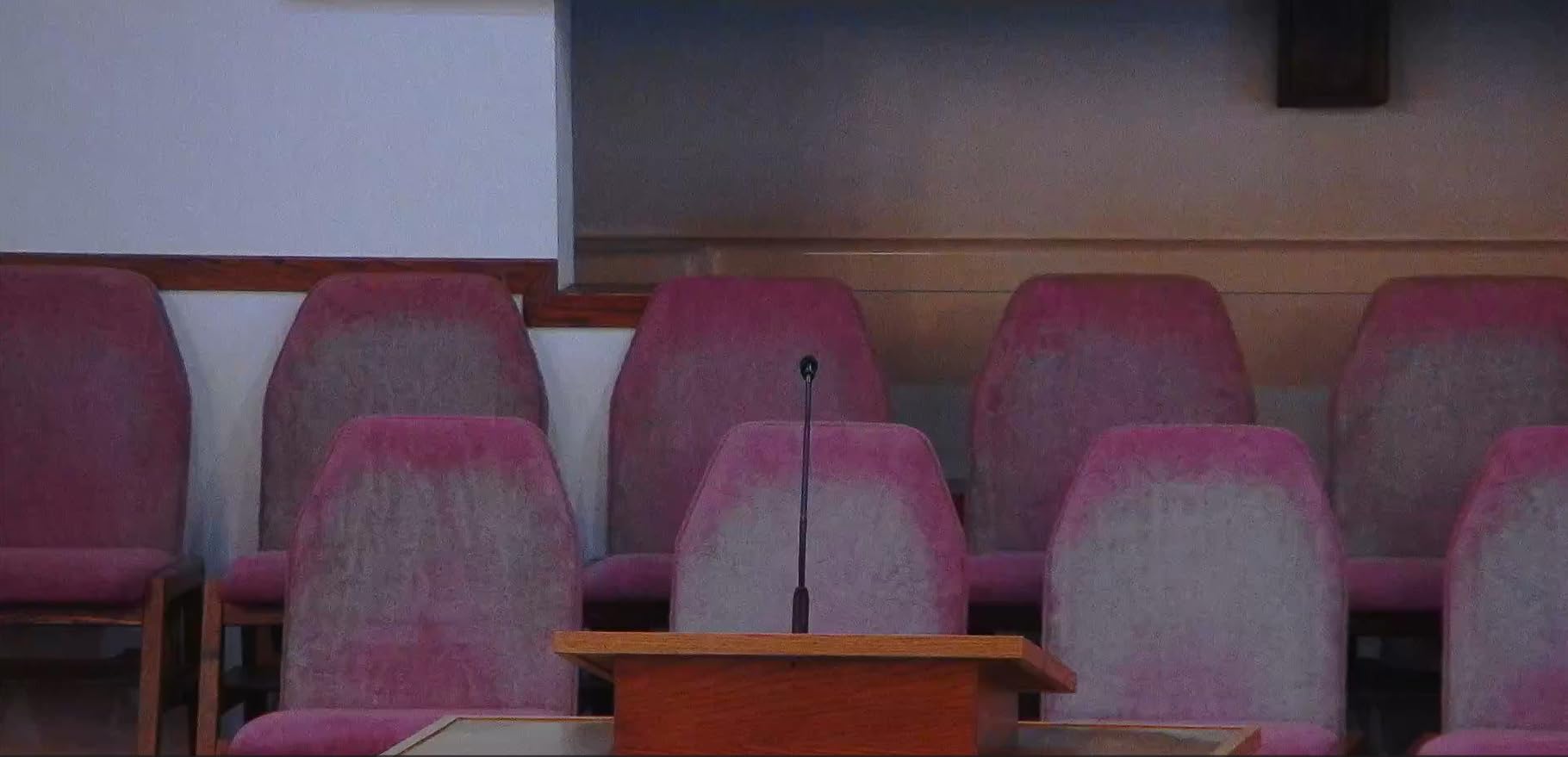 Prisual 5th Gen AI Auto Tracking PTZ Camera, 20X Optical Zoom, Broadcast Ready, PoE, 3G-SDI, HDMI, USB 3.0, LAN, Free NDI Upgrade for Church Worship, Education, Live Streaming customer photo 1