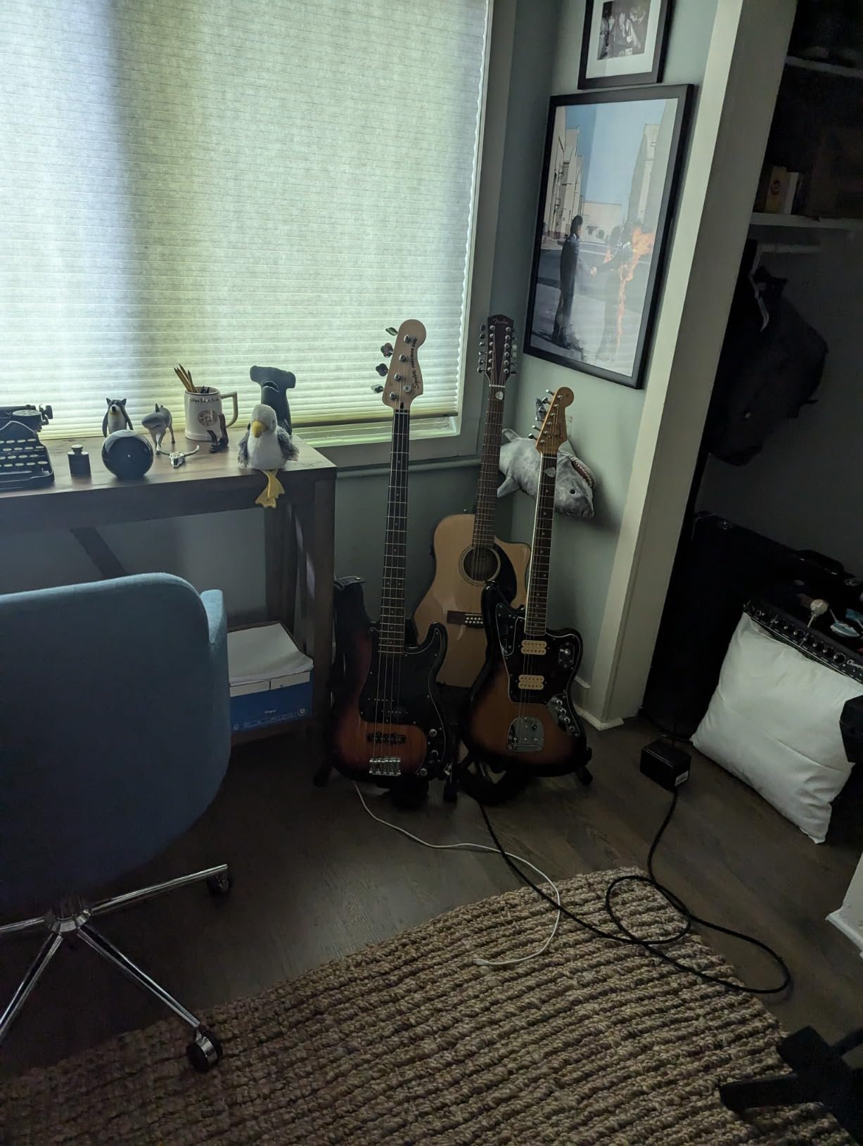 Fender Squier Affinity Precision Bass Pack, with Amp, 3-Color Sunburst customer photo 2