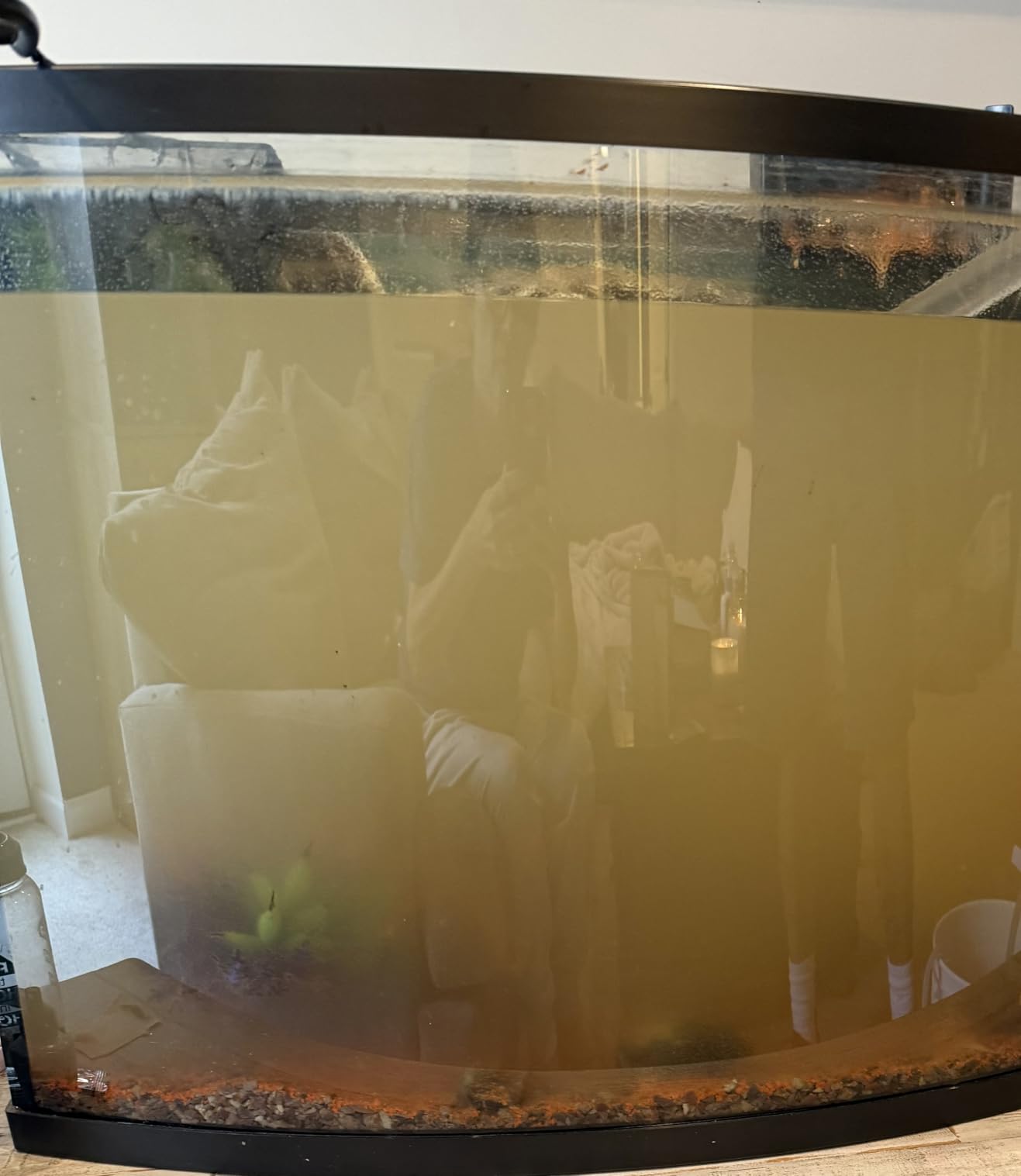 Freesea Automatic Fish Feeder for Aquarium: One-Touch Easy Setup & 3 Timers | 7-14 Day Supply with 200ML Food Dispenser - Worry-Free Vacation Feeding for Betta Turtle Tank customer photo 1