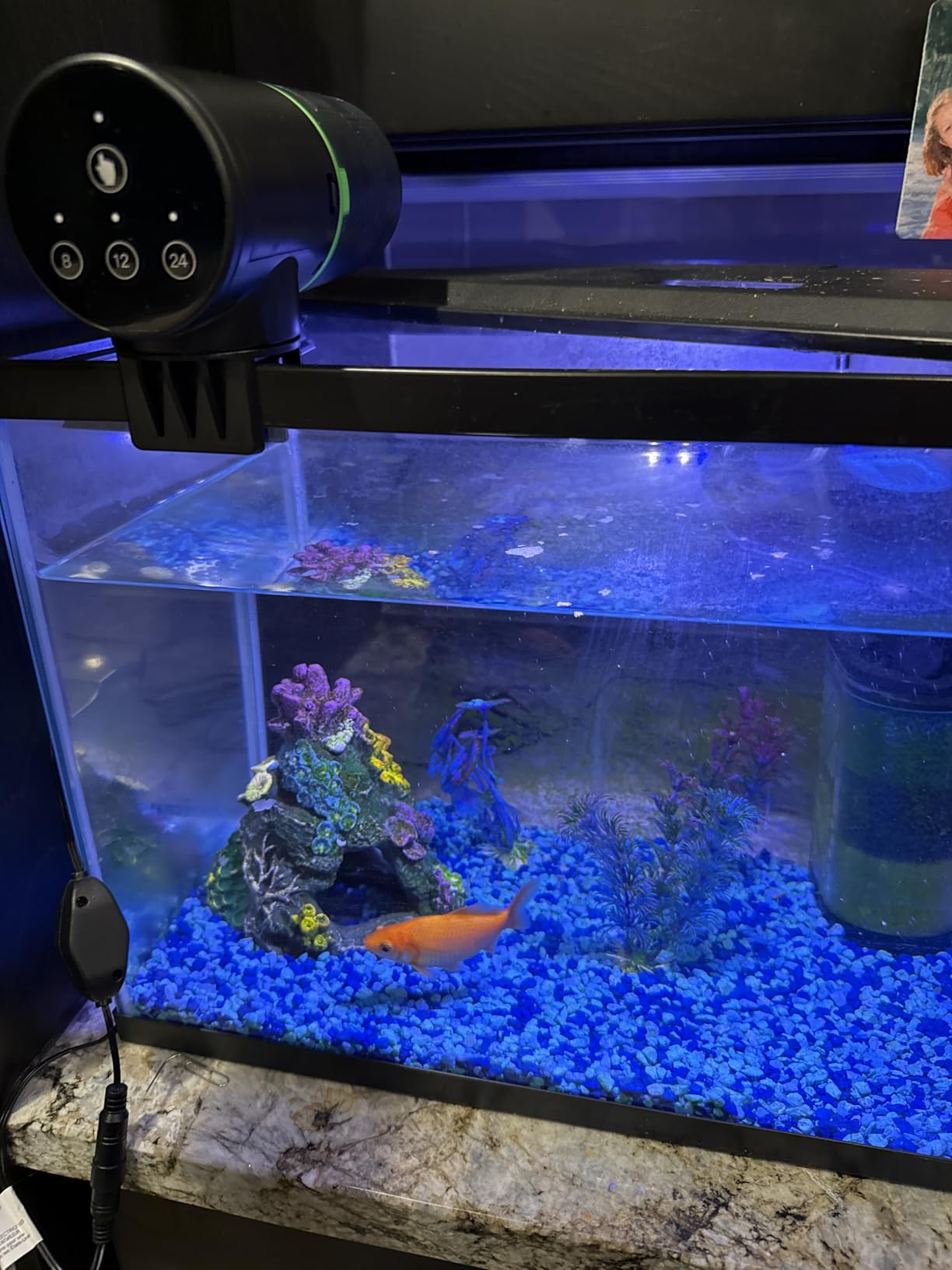 Freesea Automatic Fish Feeder for Aquarium: One-Touch Easy Setup & 3 Timers | 7-14 Day Supply with 200ML Food Dispenser - Worry-Free Vacation Feeding for Betta Turtle Tank customer photo 2