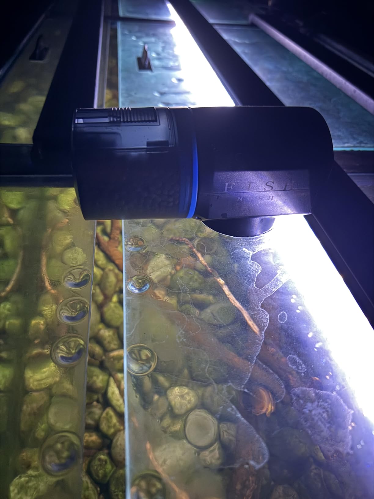 FISHNOSH Automatic Fish Feeder for Aquarium - New Generation 2026, Auto Food Dispenser with Timer for Small Tank, Big Aquariums & Pond (Blue) customer photo 1