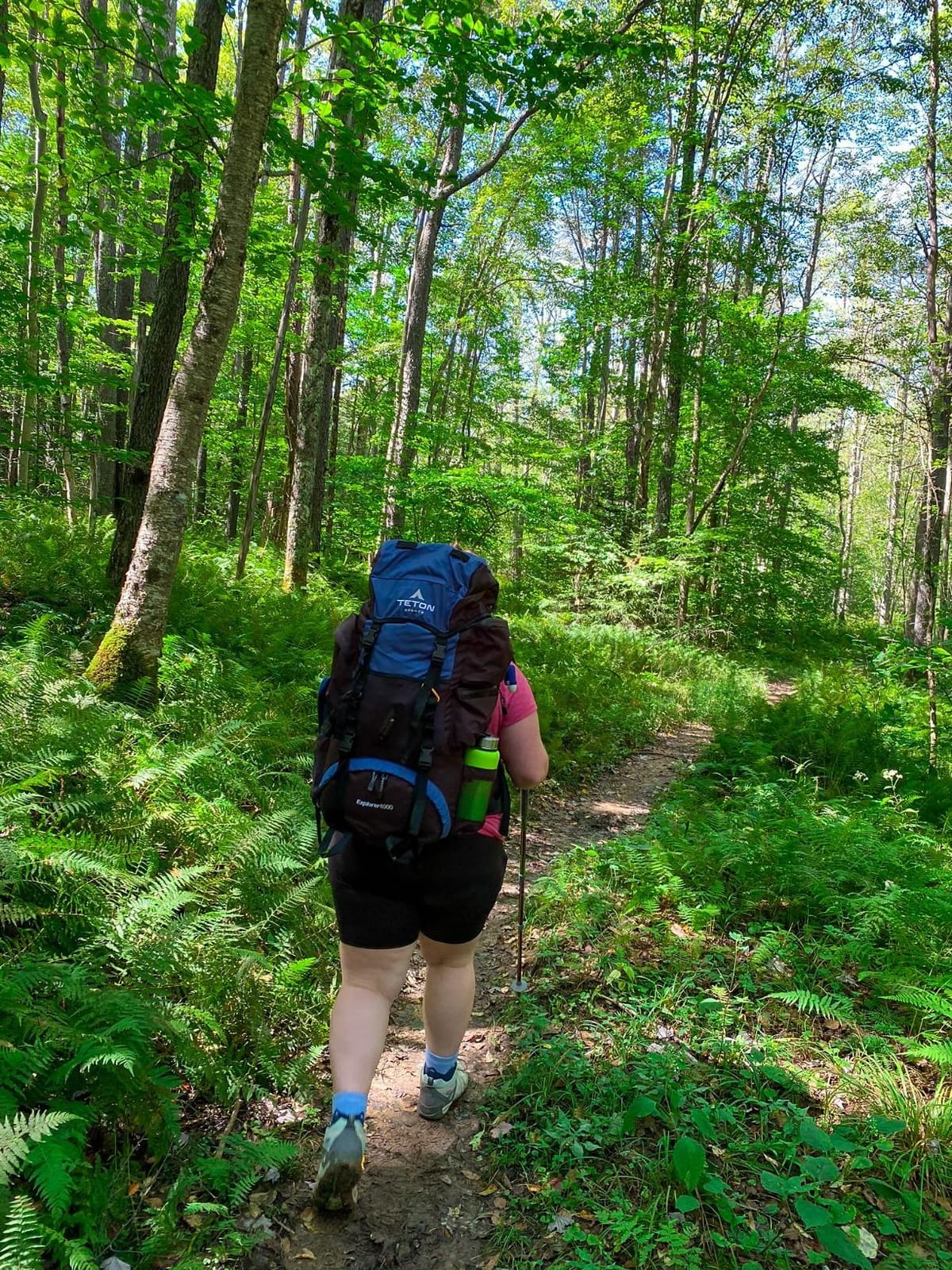 Teton 65L Explorer Internal Frame Backpack for Hiking, Camping, Backpacking, Rain Cover Included, Olive customer photo 2