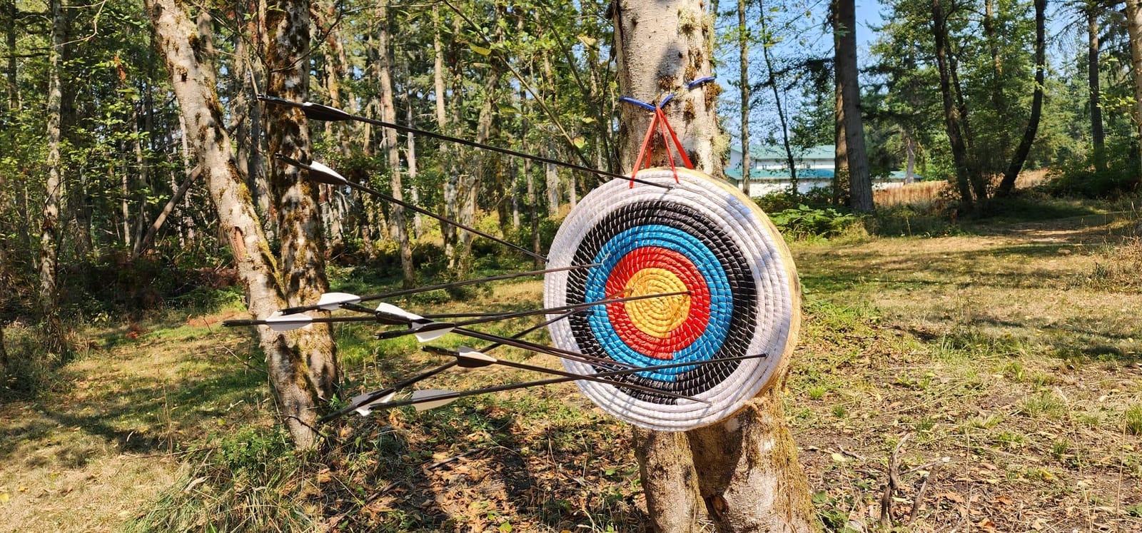 Archery Target - Backyard Straw Archery Target for Recurve Compound or Longbow - 20 Inch Traditional Bow Arrow Target for Kids Youth Adult Archery Hunting Practice customer photo 1