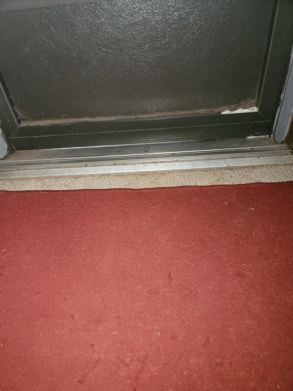 FACHNUO 2FT Portable Wheelchair Ramp for Home Steps, Non-Skid Aluminum Ramp customer photo 2
