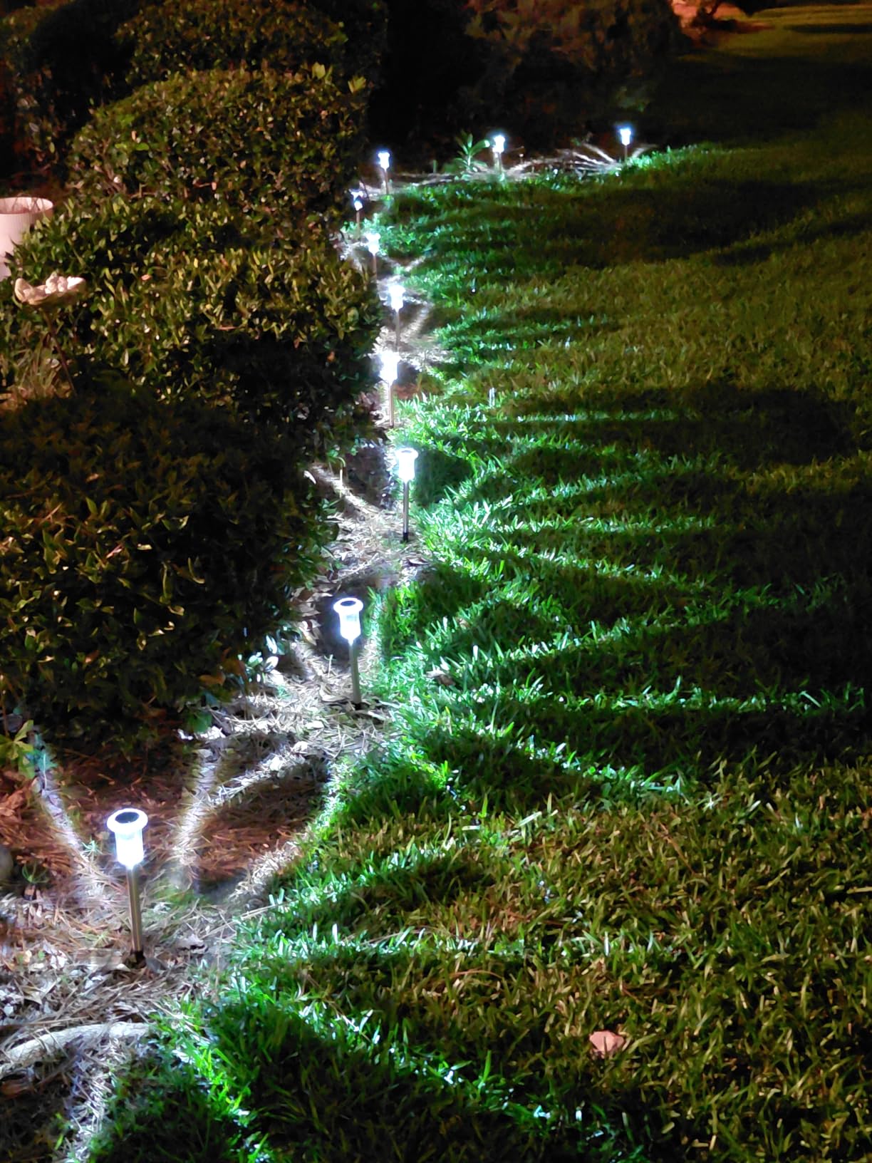 DenicMic Solar Lights Outdoor Waterproof 10 Pack Pathway Lights Cool White customer photo 1