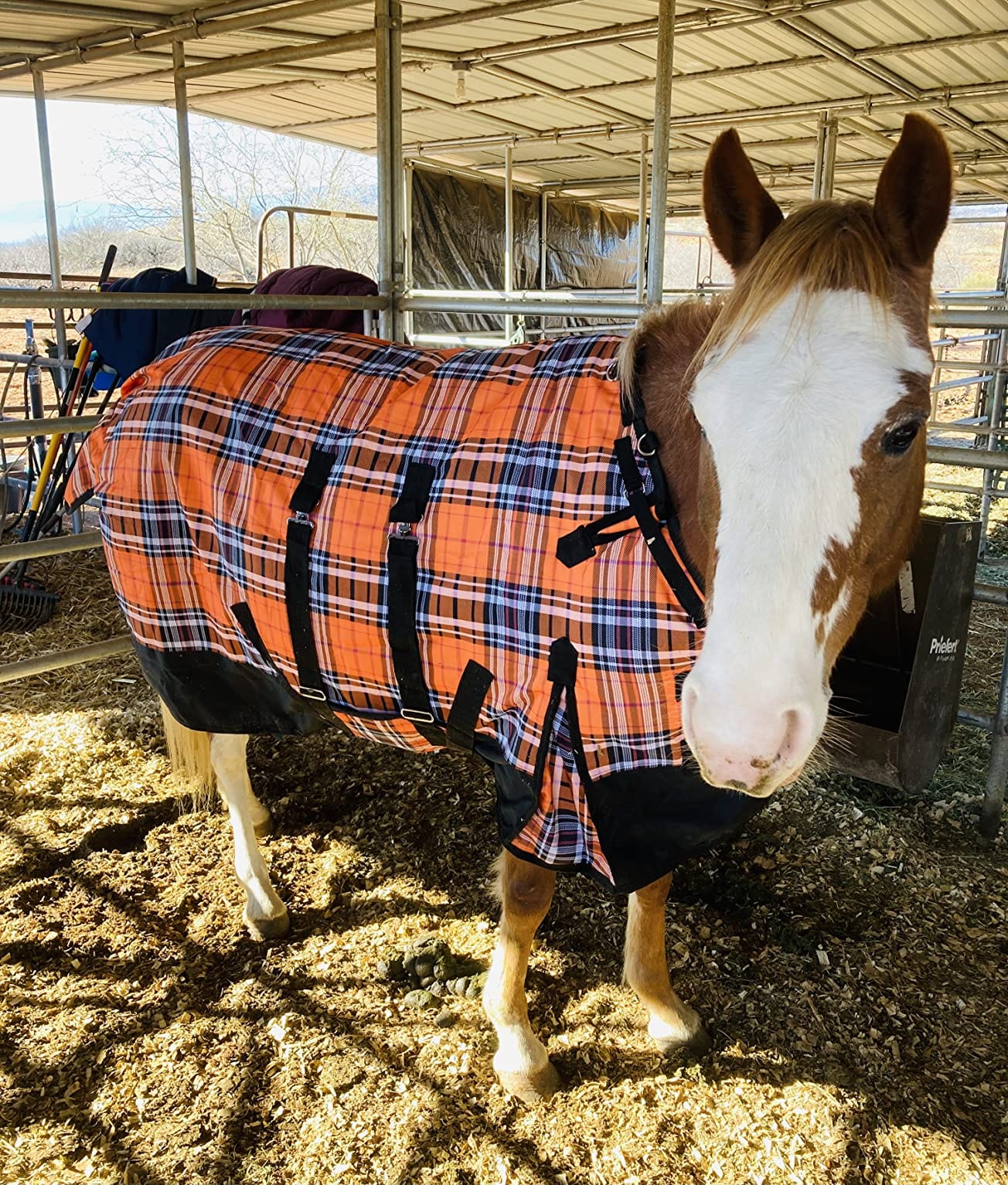 Challenger 1200D Horse Turnout Waterproof Heavy Weight Winter Blanket 5B105 customer photo 1