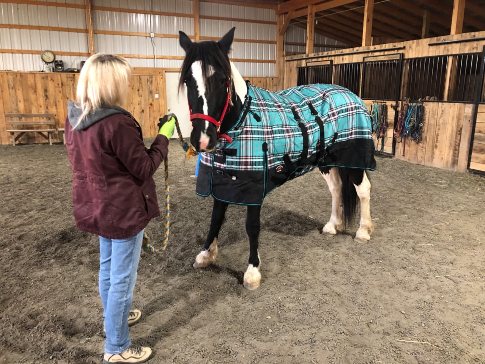 Challenger 1200D Horse Turnout Waterproof Heavy Weight Winter Blanket 5B105 customer photo 2