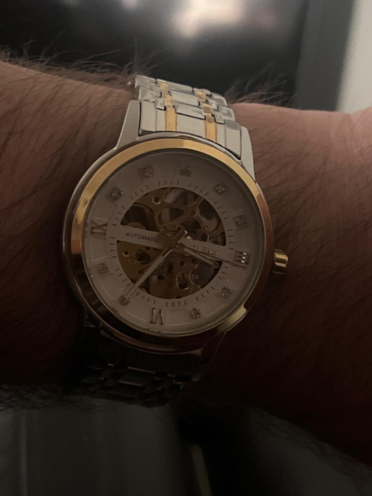 OLEVS Automatic Men's Watches, Self Winding, Stainless Steel, Watch for Men customer photo 1