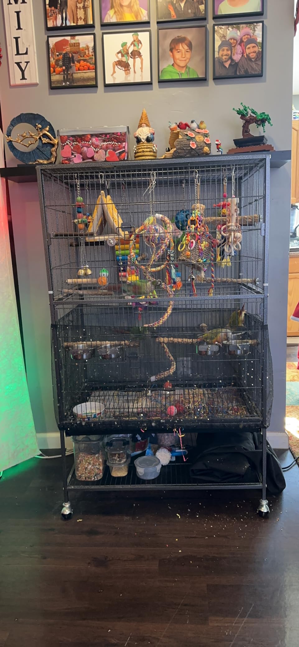 BestPet 35 inch Wrought Iron Bird Cage with Play Open Top and Rolling Stand,Large Parrot Cage Bird Cages for Parakeets,Cockatiel, Canary, Finch, Lovebird, Parrotlet,Pigeons (35 inch) customer photo 1