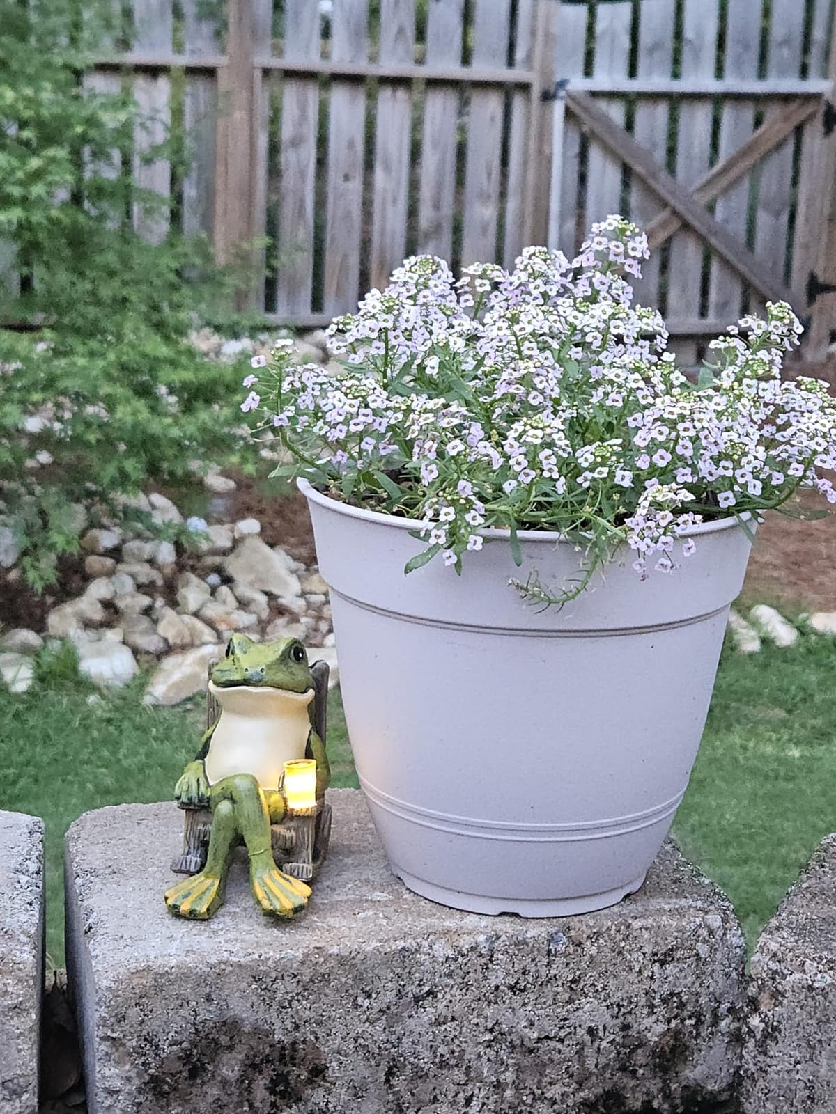 FOXMIS Miniature Frog Garden Statue Mom Dad Gifts Home Decorations Fairy Garden Accessories Outdoor Lights Solar Garden Frog Decor Art Housewarming Gift for Patio,Yard,Lawn Ornament,3.89