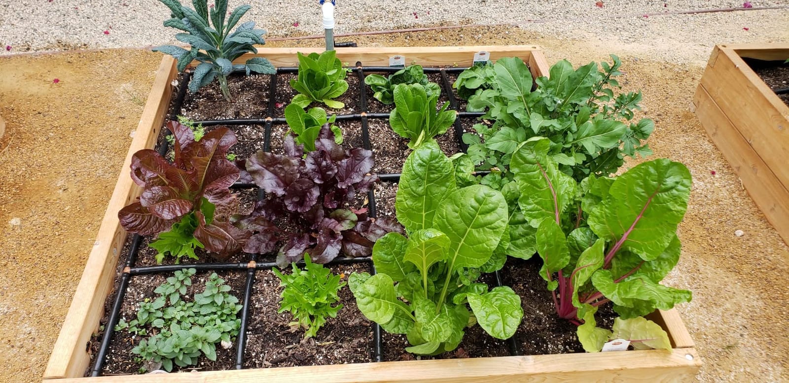 Garden Grid 3x6 | Raised Garden Irrigation System | Prebuilt, No Dry Spots customer photo 1