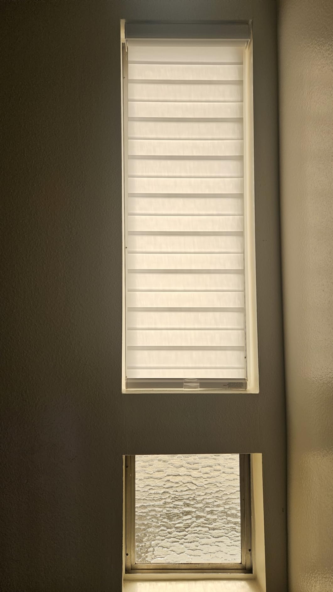 Persilux Cordless Zebra Blinds for Windows Free-Stop Roller Window Shades (22
