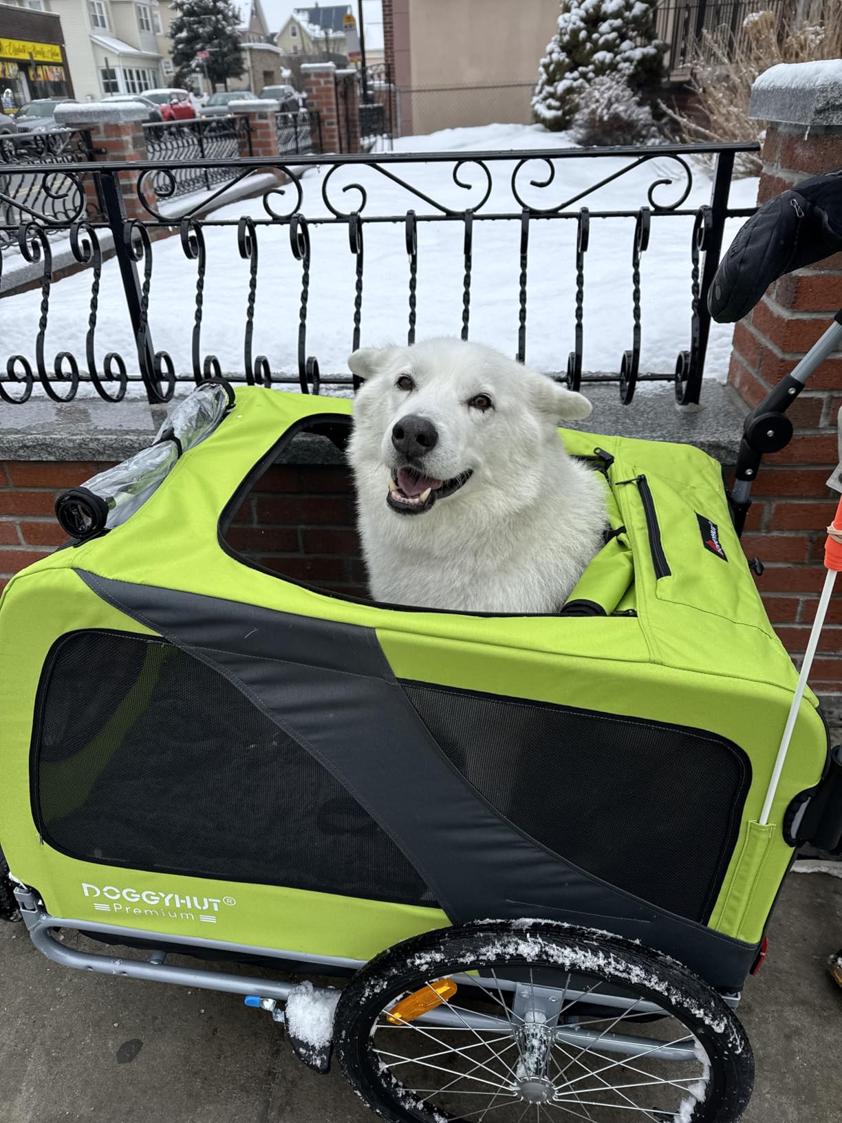 DOGGYHUT® Premium X Large Pet Bike Trailer Up to 100 lbs (Gray) customer photo 2
