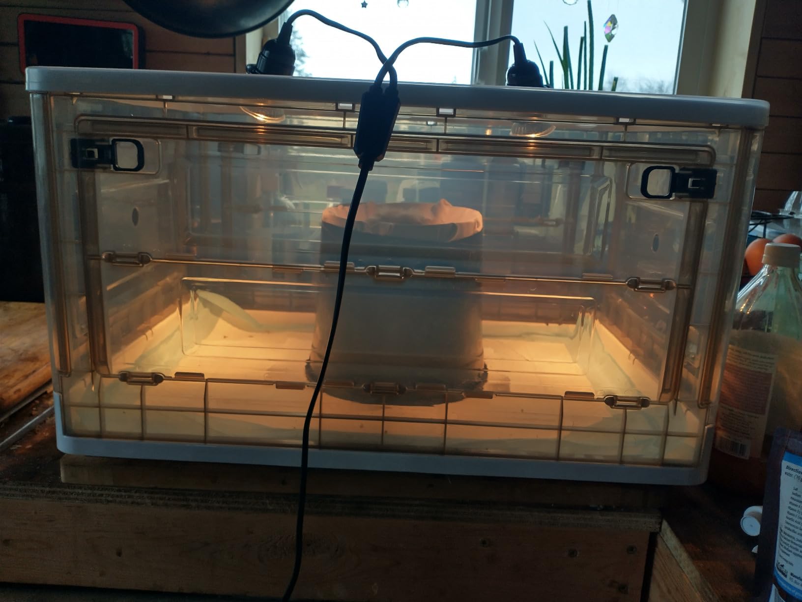 Chick Brooder,Brooder Box for Chicks,Brooder Heater Warms up to 15 Chicks (20″x14″x12″) customer photo 1