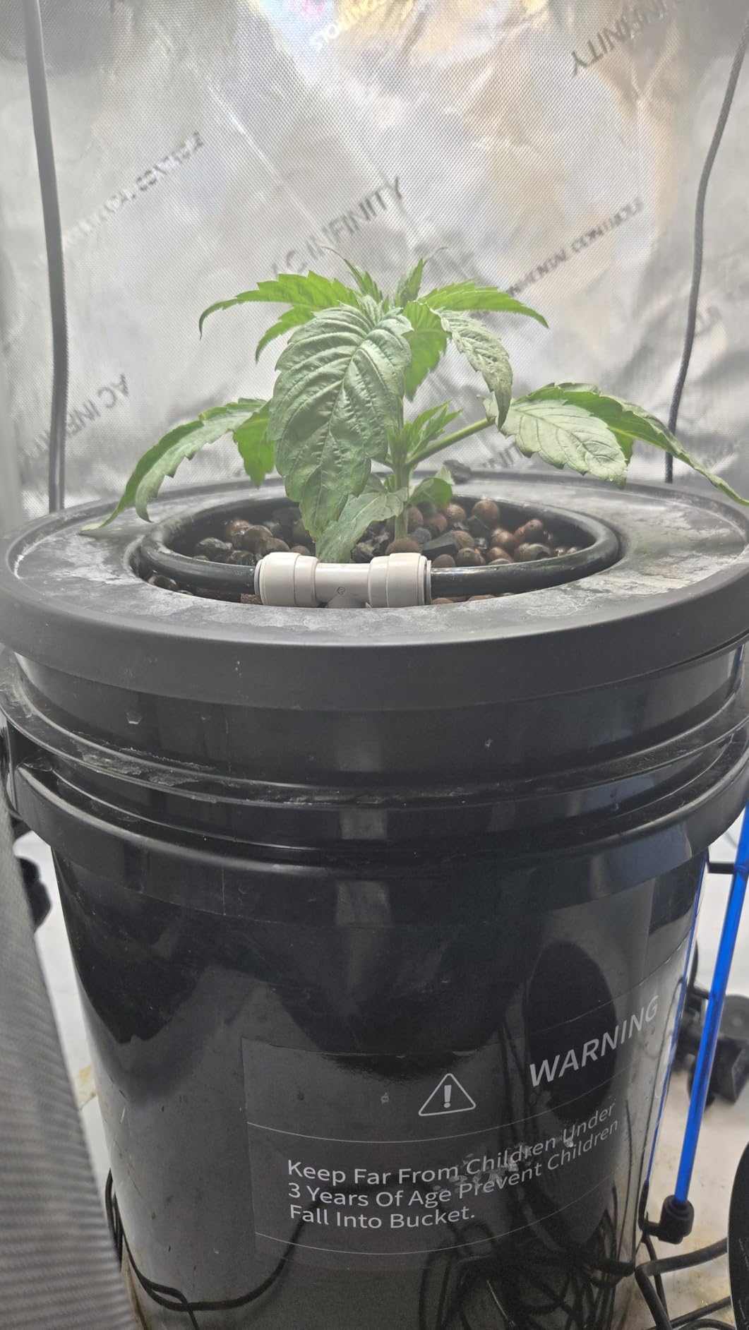 Mars Hydro DWC Hydroponics Grow System 5 Gallon Deep Water Culture with 8W Air Pump, Multi-Purpose Air Hose, Air Stone, 2 Buckets and Top Drip Kit customer photo 1