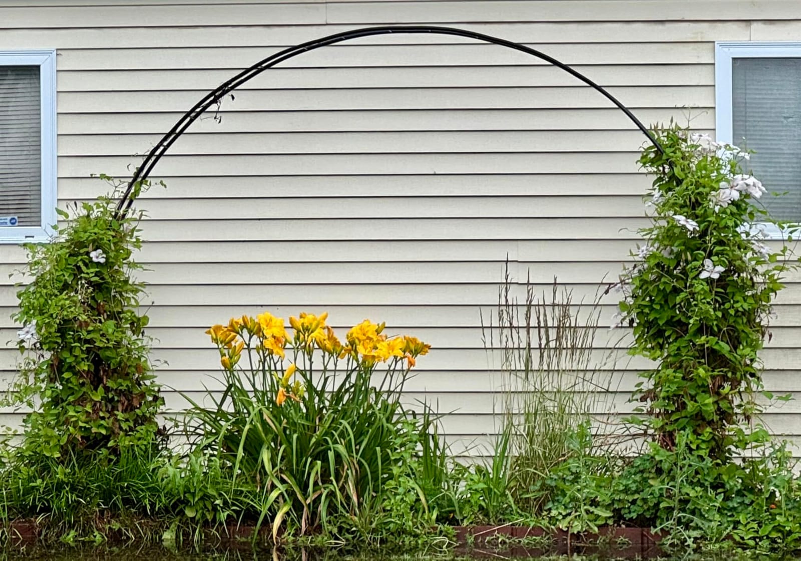 Queension Extra Large Garden Arch 7.2Ft Wide 9.2Ft High, Black customer photo 2