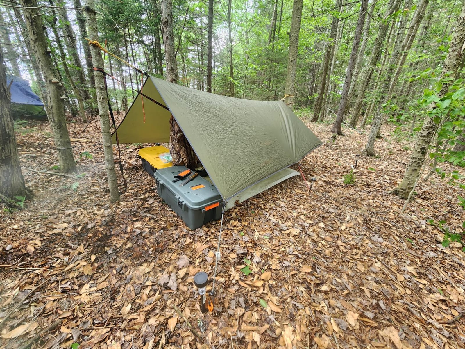 Chihee Ultra-Light Travel Camping Hammock Pop-up Net Hammock 660lbs Load Capacity,Breathable,Quick-Drying Parachute Nylon 2 Premium Carabiners,2 Tree Slings Included for Outdoor Backpacking Hiking customer photo 2