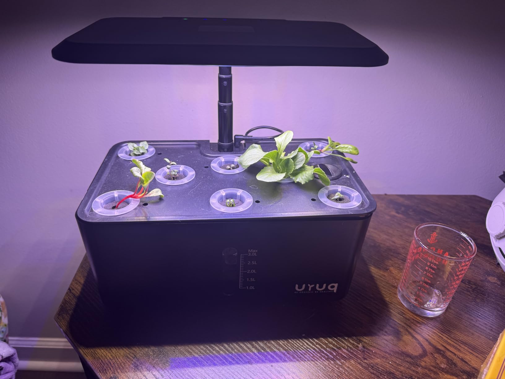 URUQ 8 Pods Hydroponics Growing System with LED Grow Light - White customer photo 2