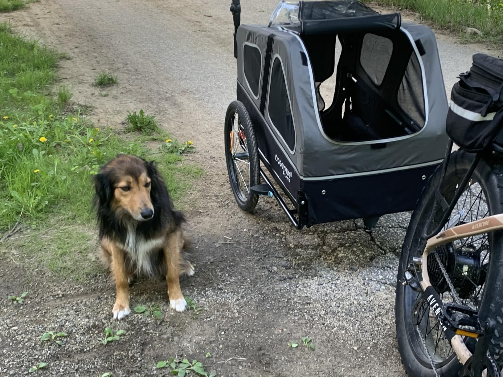 DOGGYHUT® S-Line XL Pet Bike Trailer & Stroller for Large Dogs Up to 100 lbs, Folding Dog Cart with Shock-Absorbing Suspension Wheels, Low Center of Gravity, Parking Brakes customer photo 1