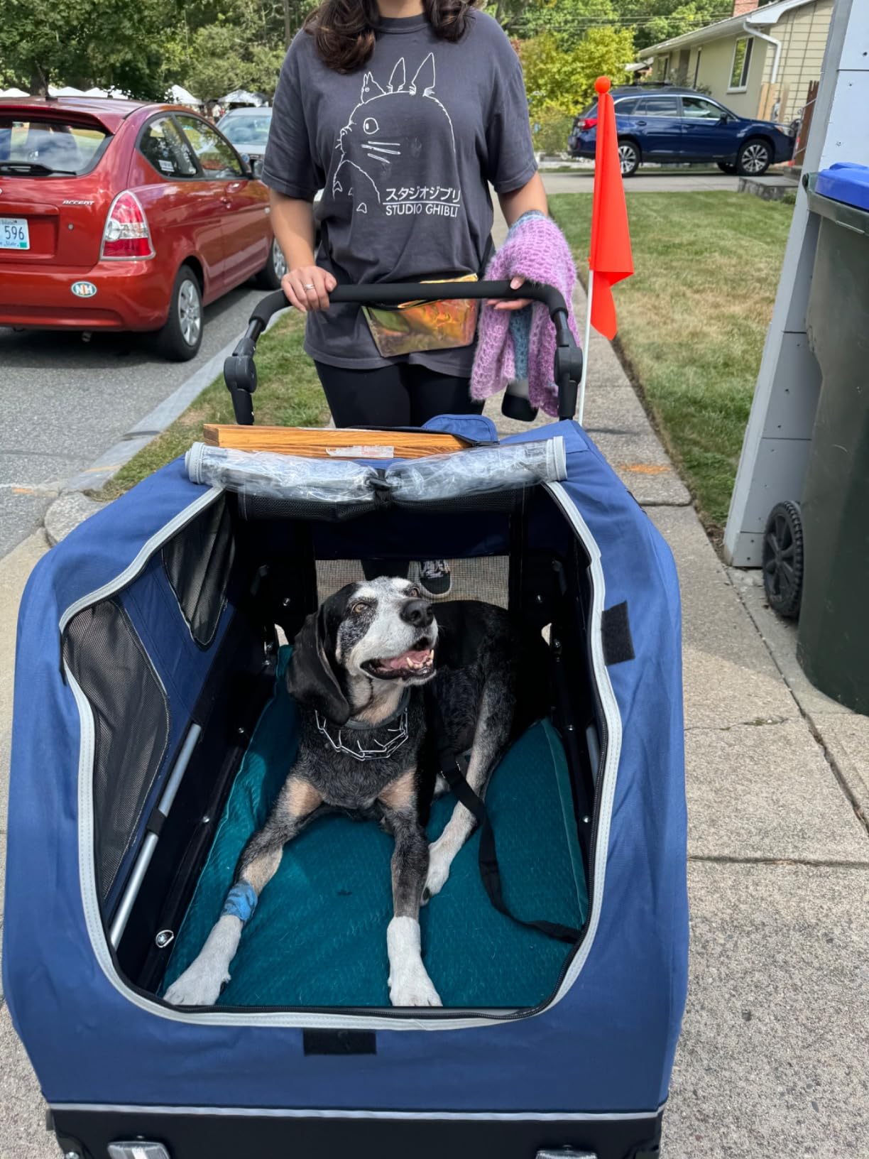 DOGGYHUT® S-Line XL Pet Bike Trailer & Stroller for Large Dogs Up to 100 lbs, Folding Dog Cart with Shock-Absorbing Suspension Wheels, Low Center of Gravity, Parking Brakes customer photo 2