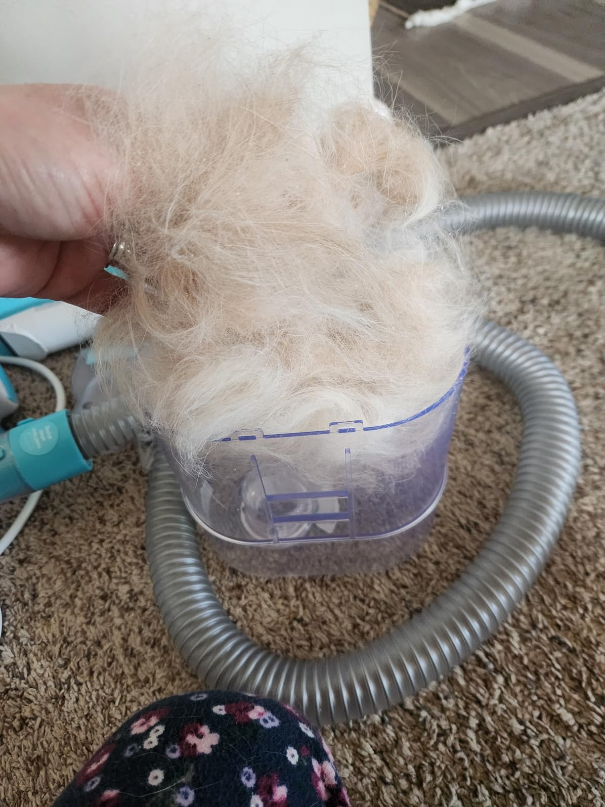 Uproot Clean Pet Grooming Vacuum for Dogs & Cats: 7-in-1, Quiet & Mess-Free customer photo 1