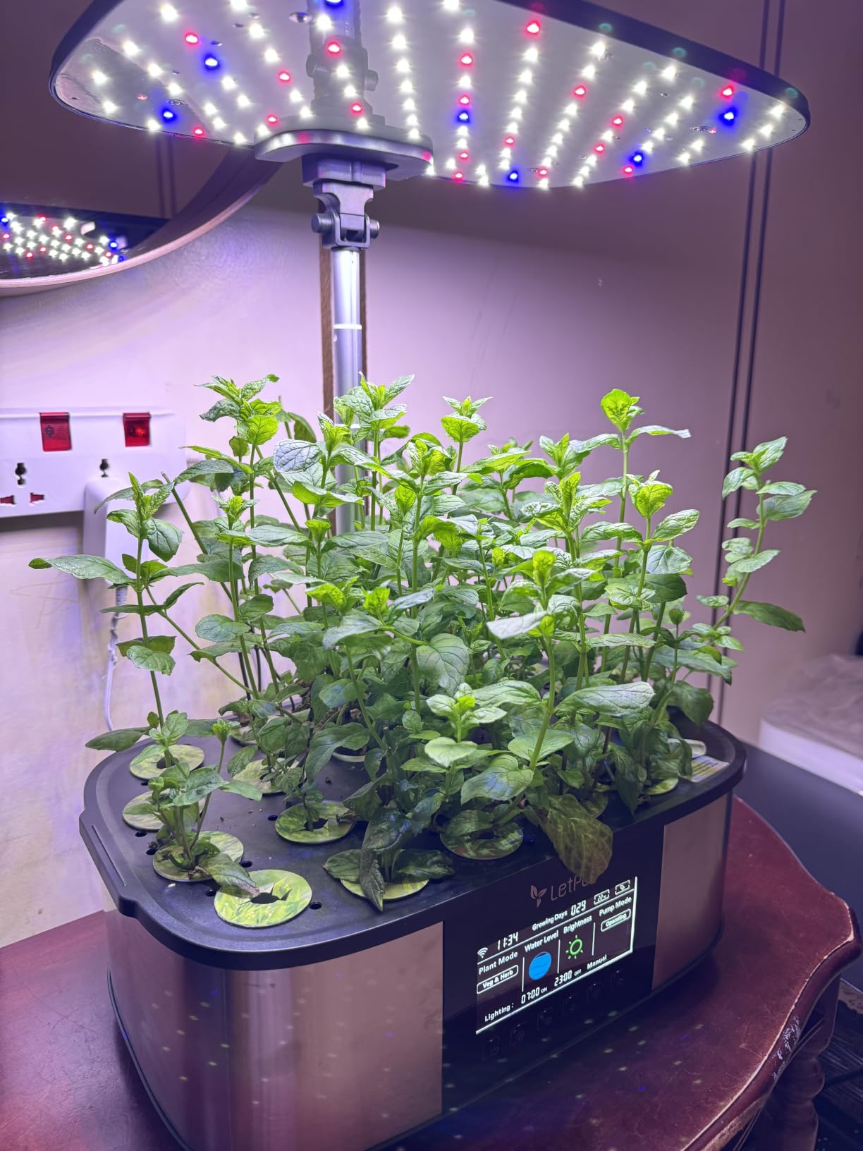 LetPot LPH-Max Hydroponics Growing System Kit, 21 Pods APP & WiFi Automatic Controlled Smart Indoor Garden with 36W LED Grow Light, Auto Drip Irrigation Kits, Self-Managed Nurturing & Watering customer photo 1