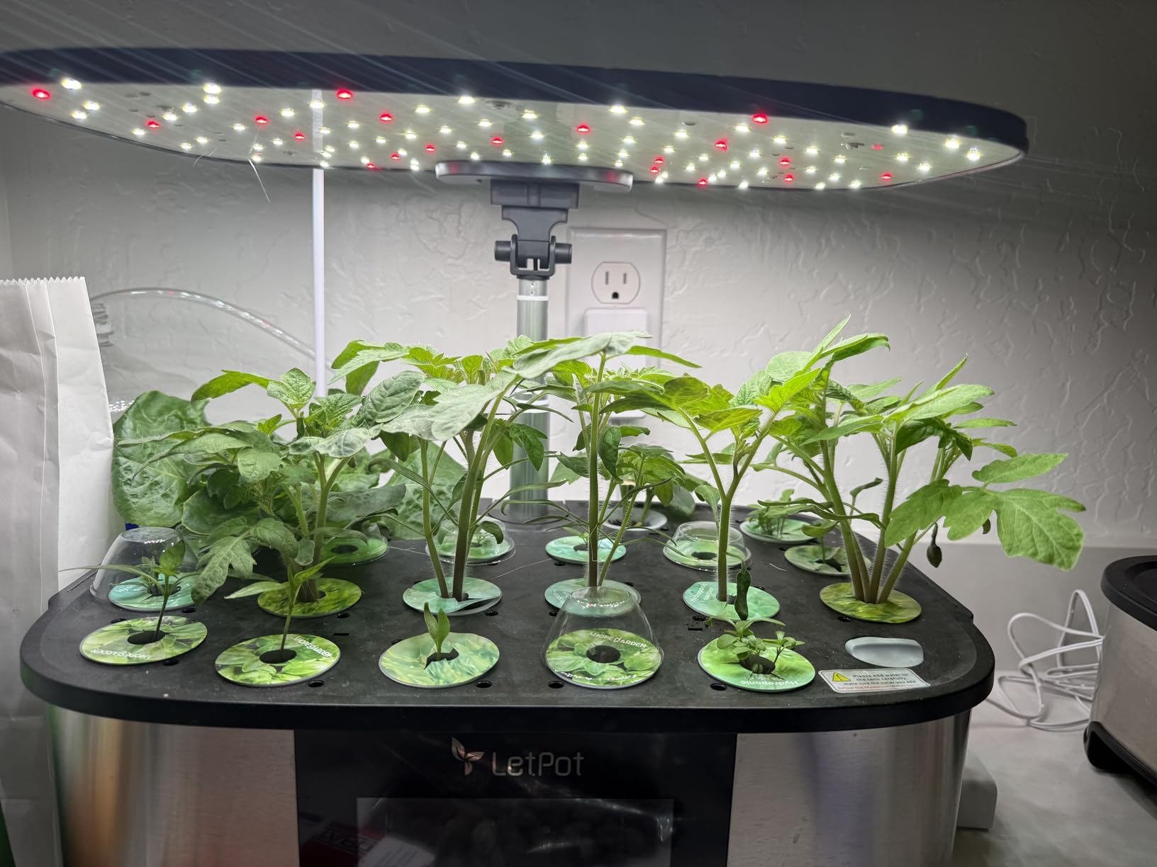 LetPot LPH-Max Hydroponics Growing System Kit, 21 Pods APP & WiFi Automatic Controlled Smart Indoor Garden with 36W LED Grow Light, Auto Drip Irrigation Kits, Self-Managed Nurturing & Watering customer photo 2