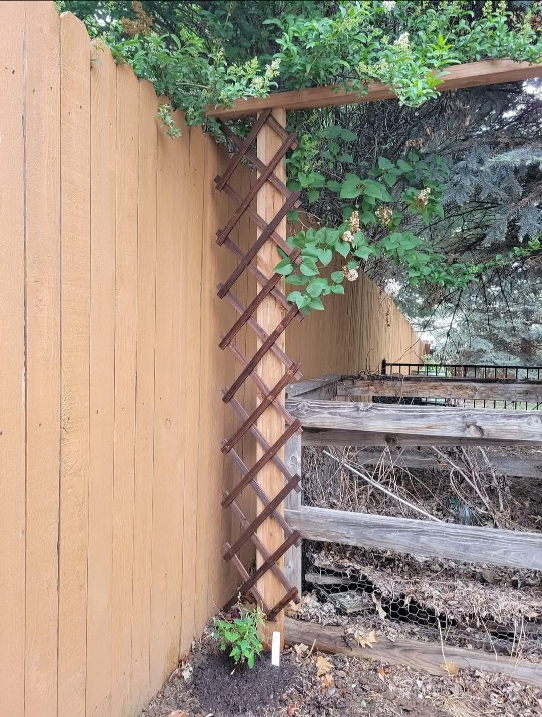 Wooden Lattice Wall-Expandable Plant Garden Trellis for Climbing Plants Outdoor Air Plant Vertical Rack Wall Decor for Room Patio customer photo 1