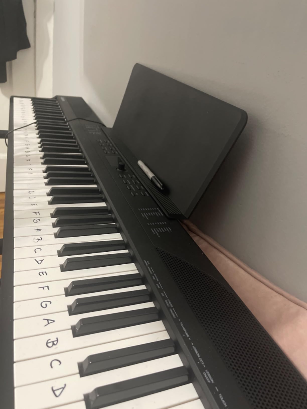 Alesis Recital Play 88-Key Piano Keyboard Bundle customer photo 1