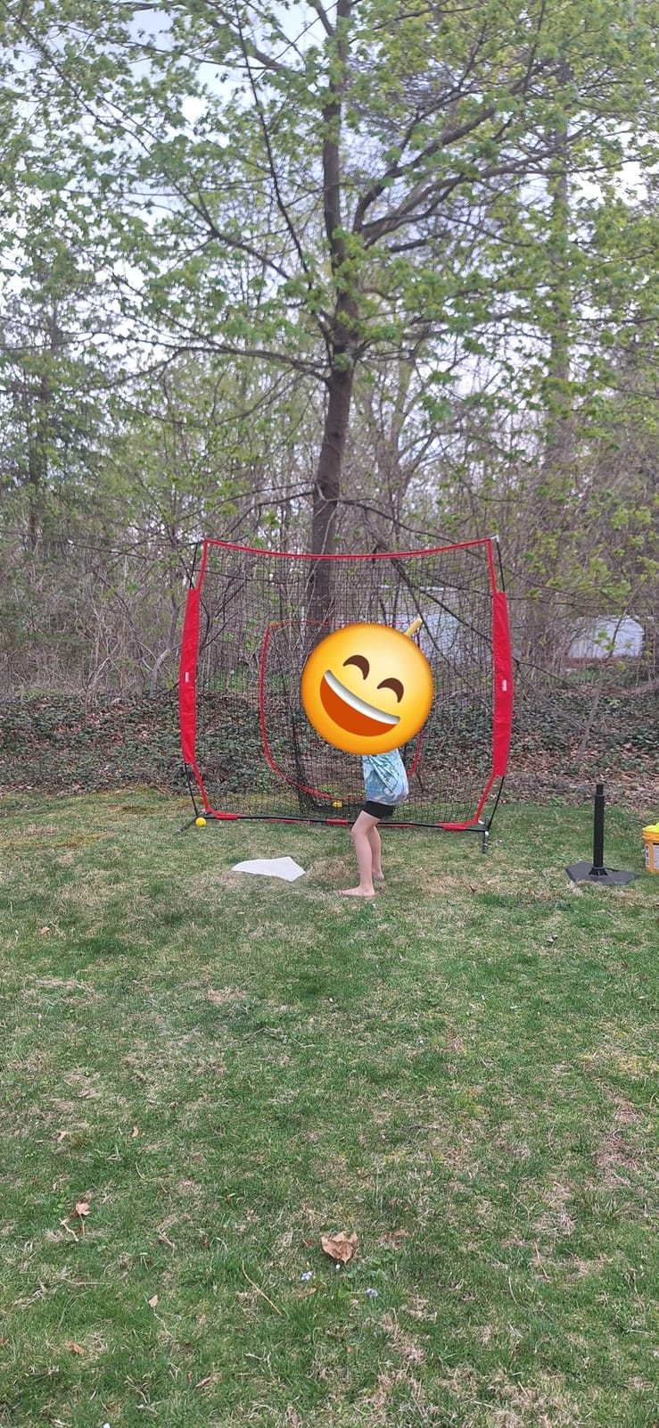 VEVOR 7x7ft Baseball Softball Practice Net, Portable Baseball Training Net for Hitting Batting Catching Pitching, Backstop Baseball Equipment Training Net customer photo 1