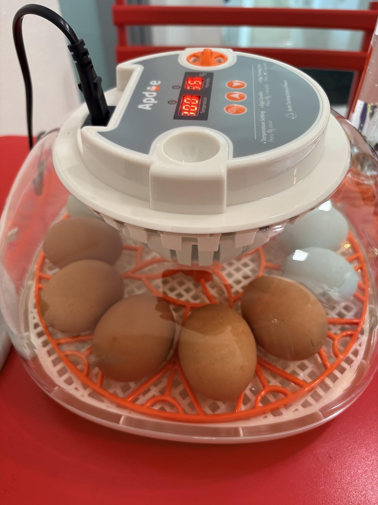 APDOE Egg Incubators for Hatching Eggs, Temperature and Humidity Control, Automatic Egg Turning, Egg Candler, External Water Bottle, Air Vent, for Chicken, Duck & Quail Eggs, 12 Eggs customer photo 2