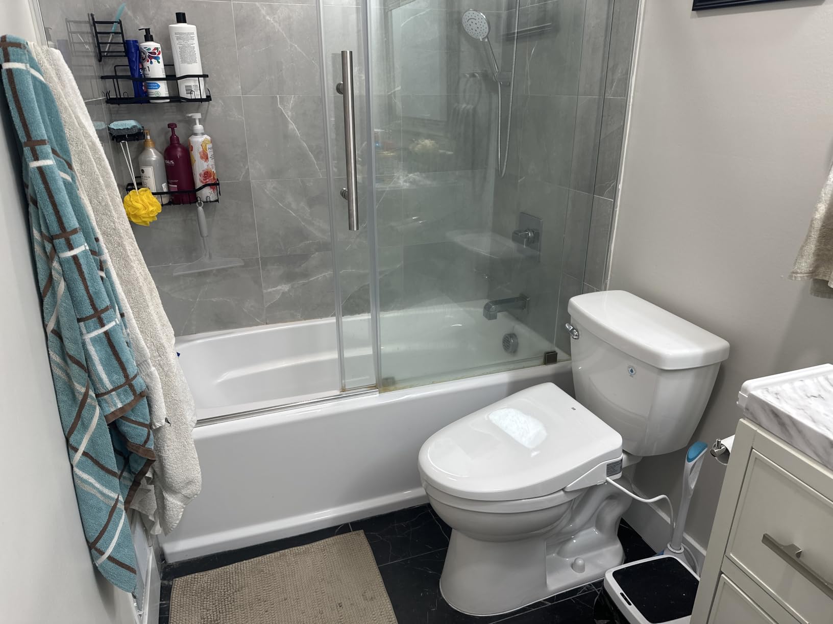 iliD Heated Bidet Toilet Seat with Remote, Electric, Warm Water, Elongated customer photo 1