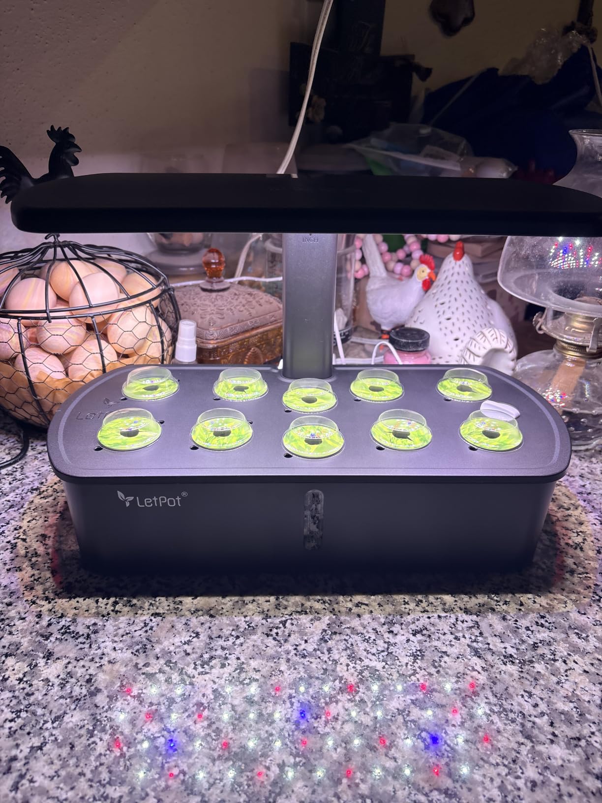LetPot LPH-Air Hydroponics Growing System Kits, APP & WiFi Controlled Smart Indoor Garden with Adjustable 24W Grow Light Full Spectrum, 10 Pods Planter Indoor Gardening for Gifts, Kitchen, Vegetable customer photo 1