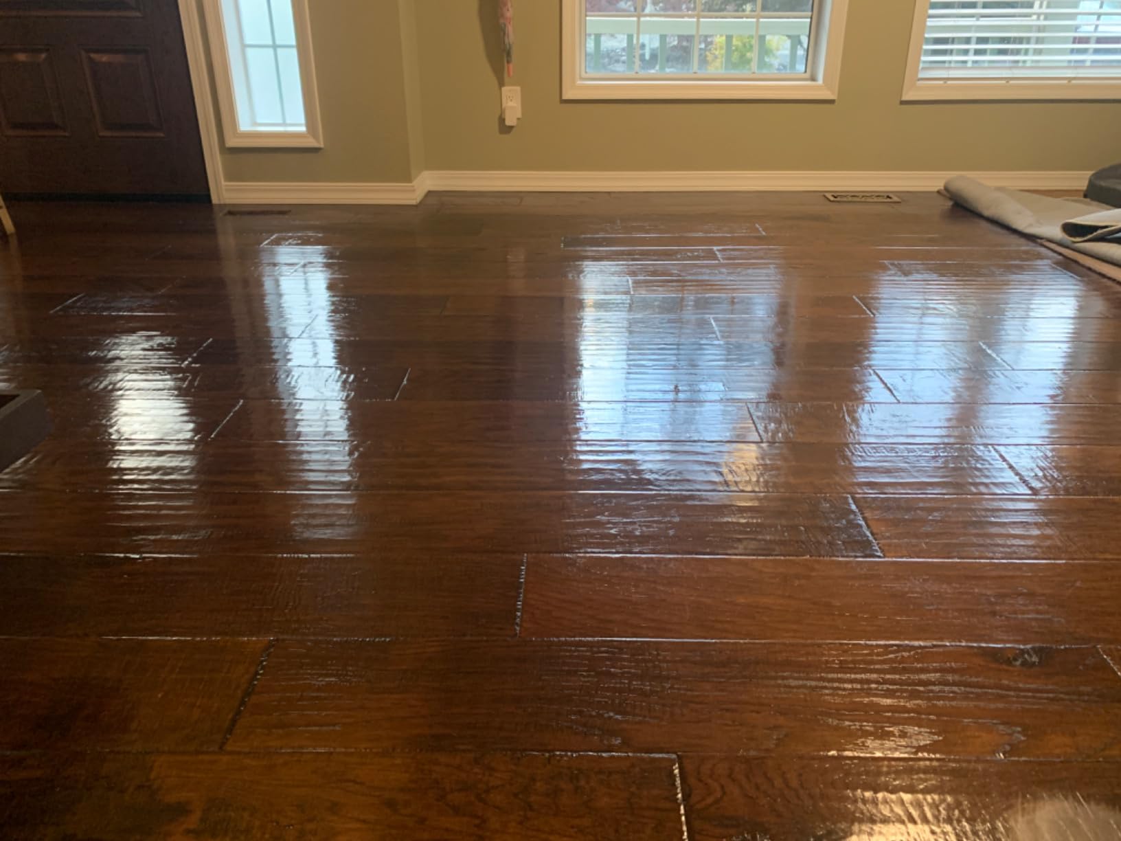 Shark Steam & Scrub Steam Mop, All-in-One Hard Floor Cleaner, Grey, S8001 customer photo 2
