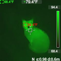 MILESEEY TR10 Thermal Imaging Camera, 192 × 192 IR Resolution, 25Hz customer photo 2