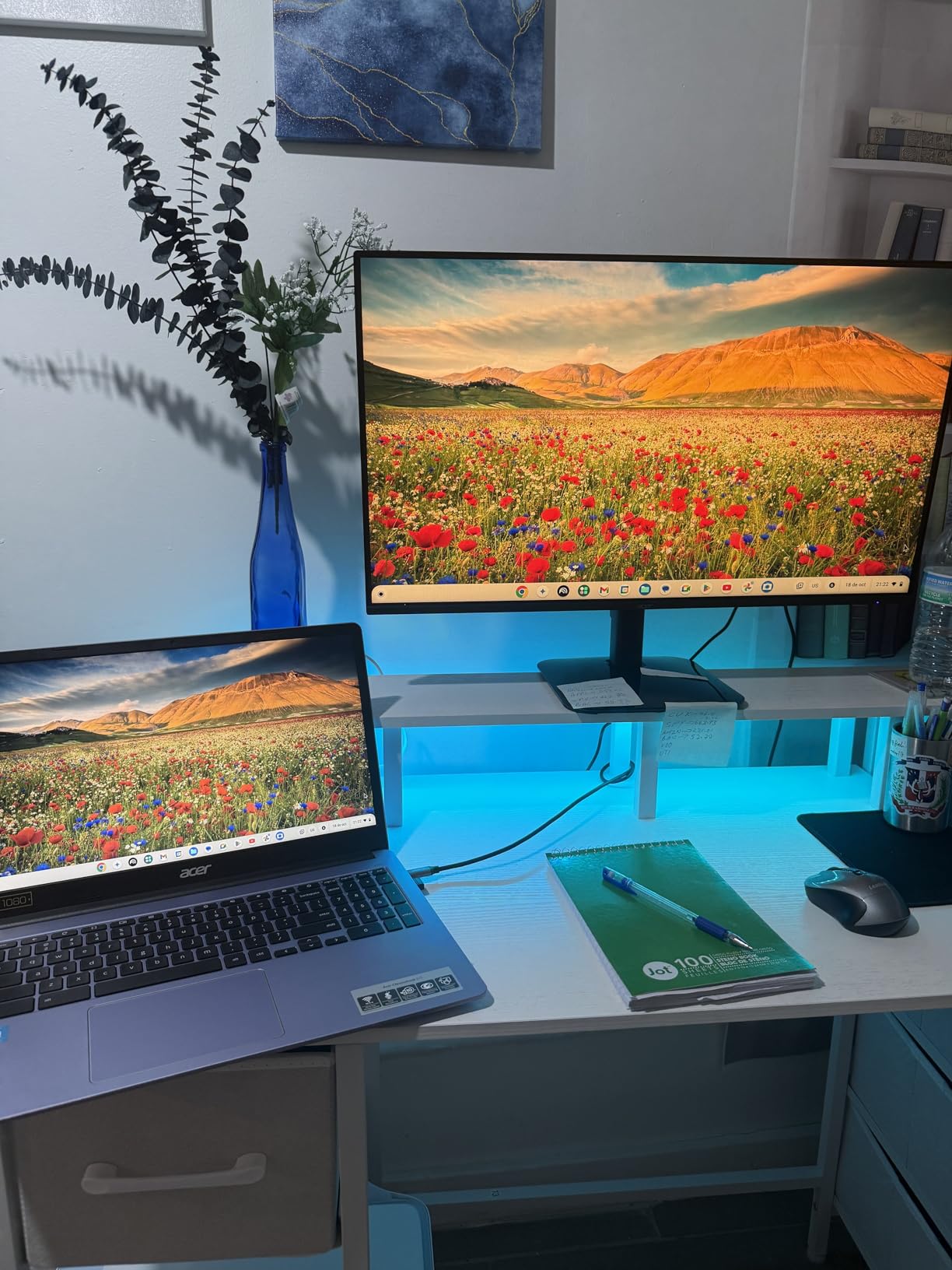 Acer 27in FHD 1920x1080 IPS 120Hz Gaming Monitor | Office KB272 G0bi | 1ms, AdaptiveSync, sRGB 99%, HDMI, VGA, VESA Mountable, Bluelight Filter customer photo 1