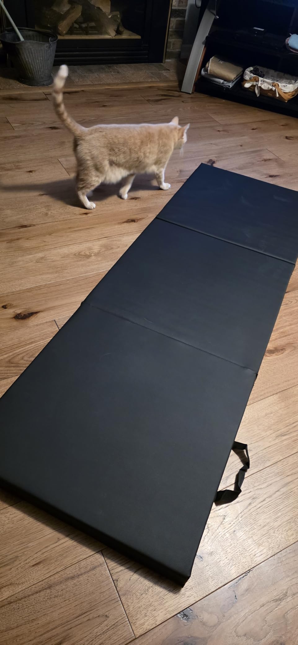 CAP Barbell Folding Exercise Mat – Durable, Anti-Tear, Thick Padding for Fitness, Aerobics, Gymnastics & Home Workouts. 72