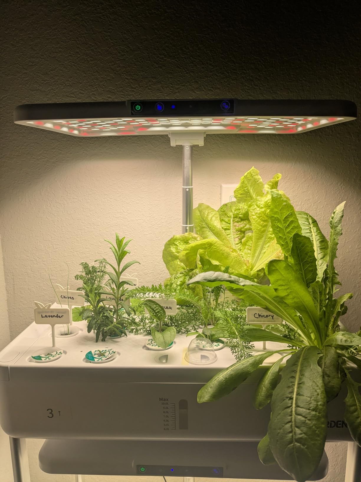 Ahopegarden Indoor Garden Hydroponics Growing System Kit: 66 Pods Plant Herb Garden Germination Kit with LED Grow Light, 30L Large Capacity Kitchen Hydroponics Planter Grower for Vegetable Fruit customer photo 1
