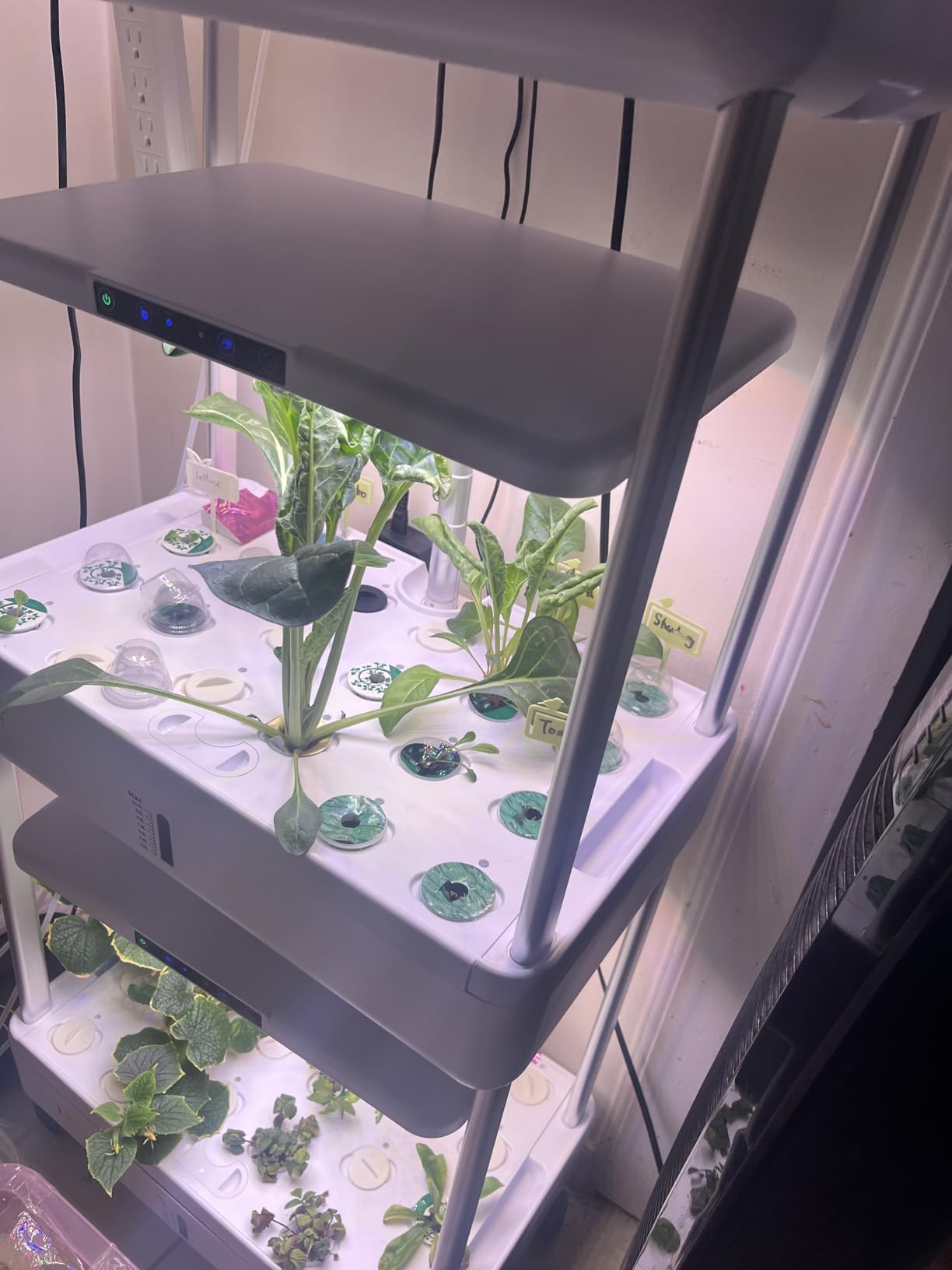 Ahopegarden Indoor Garden Hydroponics Growing System Kit: 66 Pods Plant Herb Garden Germination Kit with LED Grow Light, 30L Large Capacity Kitchen Hydroponics Planter Grower for Vegetable Fruit customer photo 2