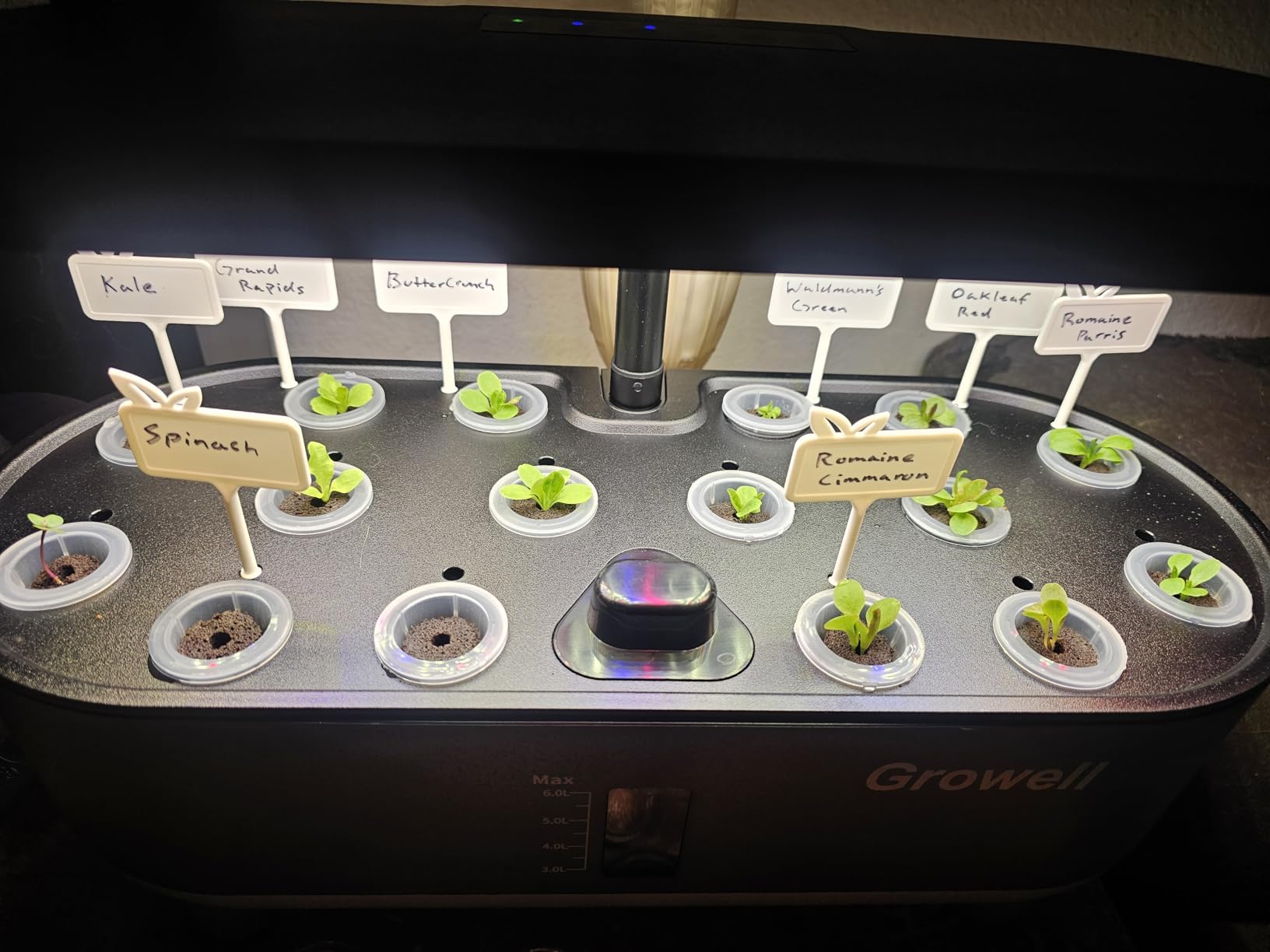Growell Hydroponics Growing System Kit, 16 Pods Indoor Garden with 28W Full Spectrum LED Grow Light, Auto Timer, 3 Smart Light Modes, 8L Large Herb Garden, Ideal Gardening Gift for Women, Men (Gray) customer photo 1