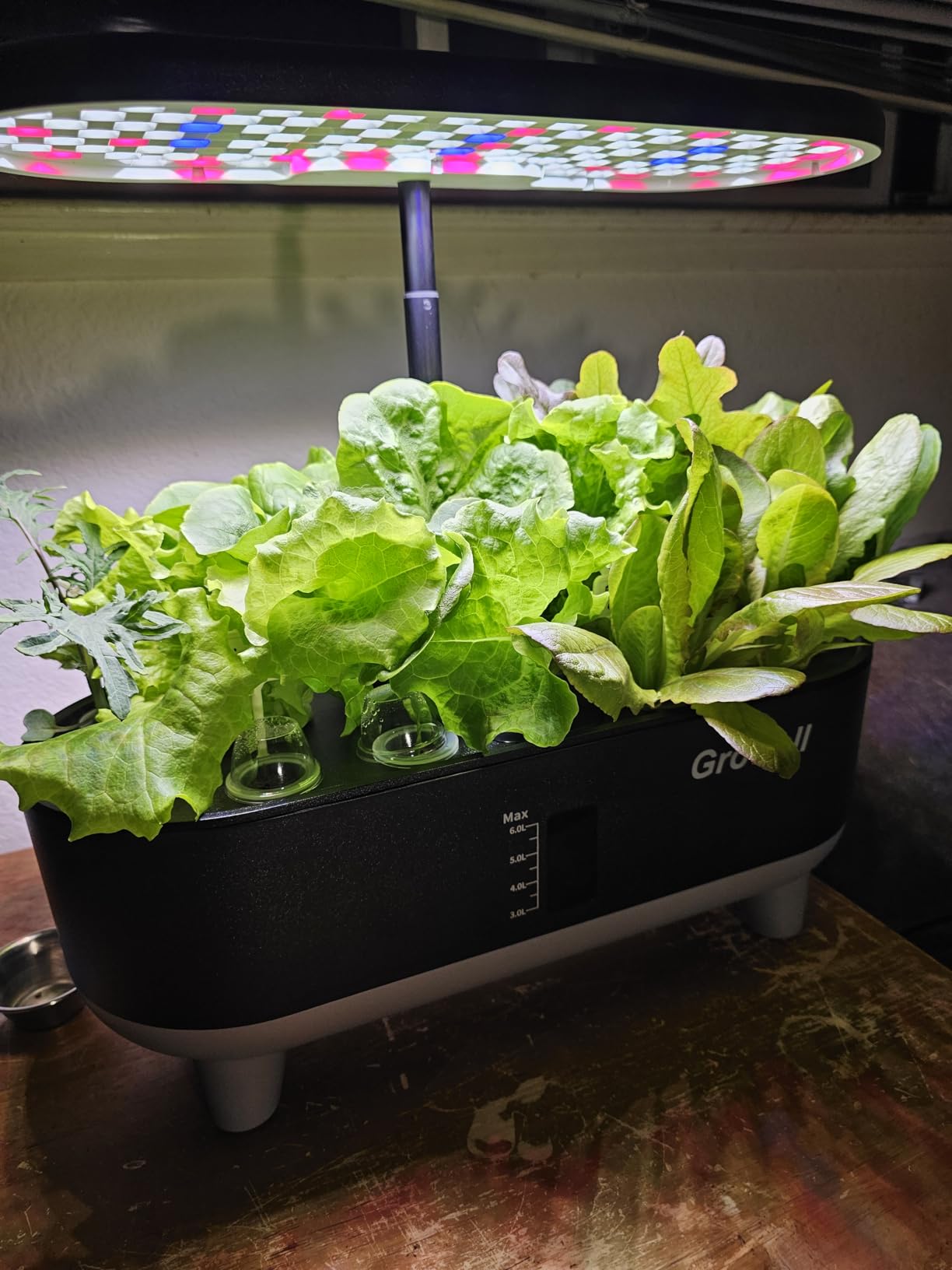 Growell Hydroponics Growing System Kit, 16 Pods Indoor Garden with 28W Full Spectrum LED Grow Light, Auto Timer, 3 Smart Light Modes, 8L Large Herb Garden, Ideal Gardening Gift for Women, Men (Gray) customer photo 2