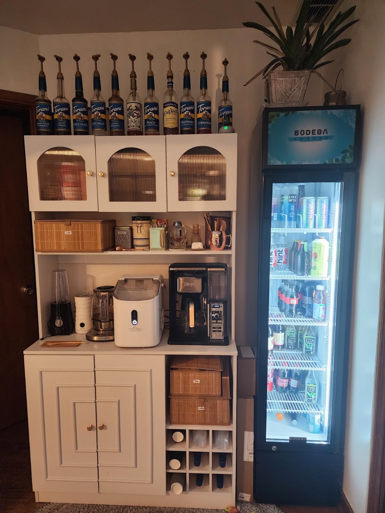 BODEGACOOLER Commercial Refrigerator, 36.8 Cu.Ft Glass Door Beverage Cooler customer photo 1