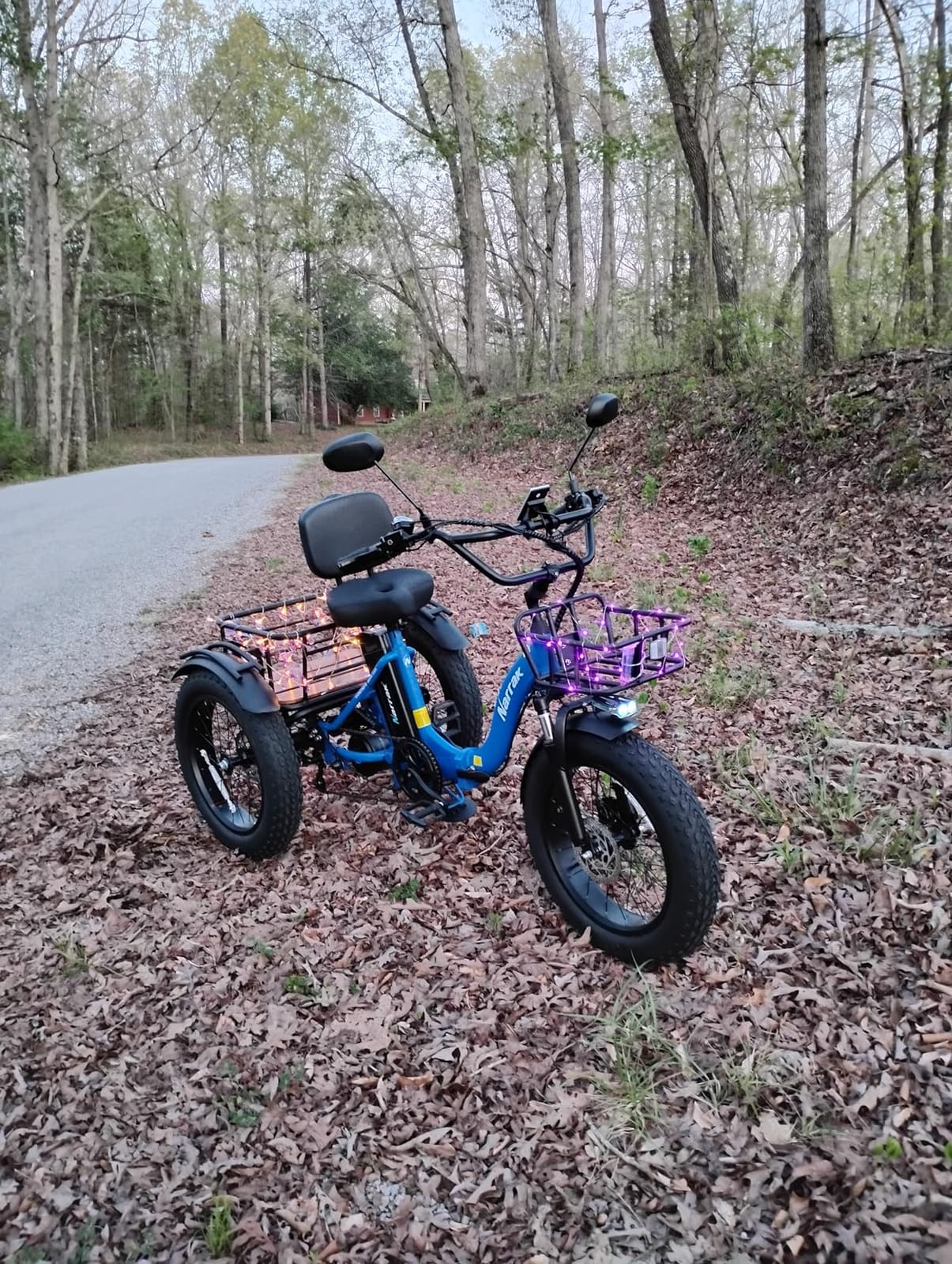 NARRAK Electric Tricycle for Adults, 750W(Peak 1350W), 48V13Ah Ebike, 20