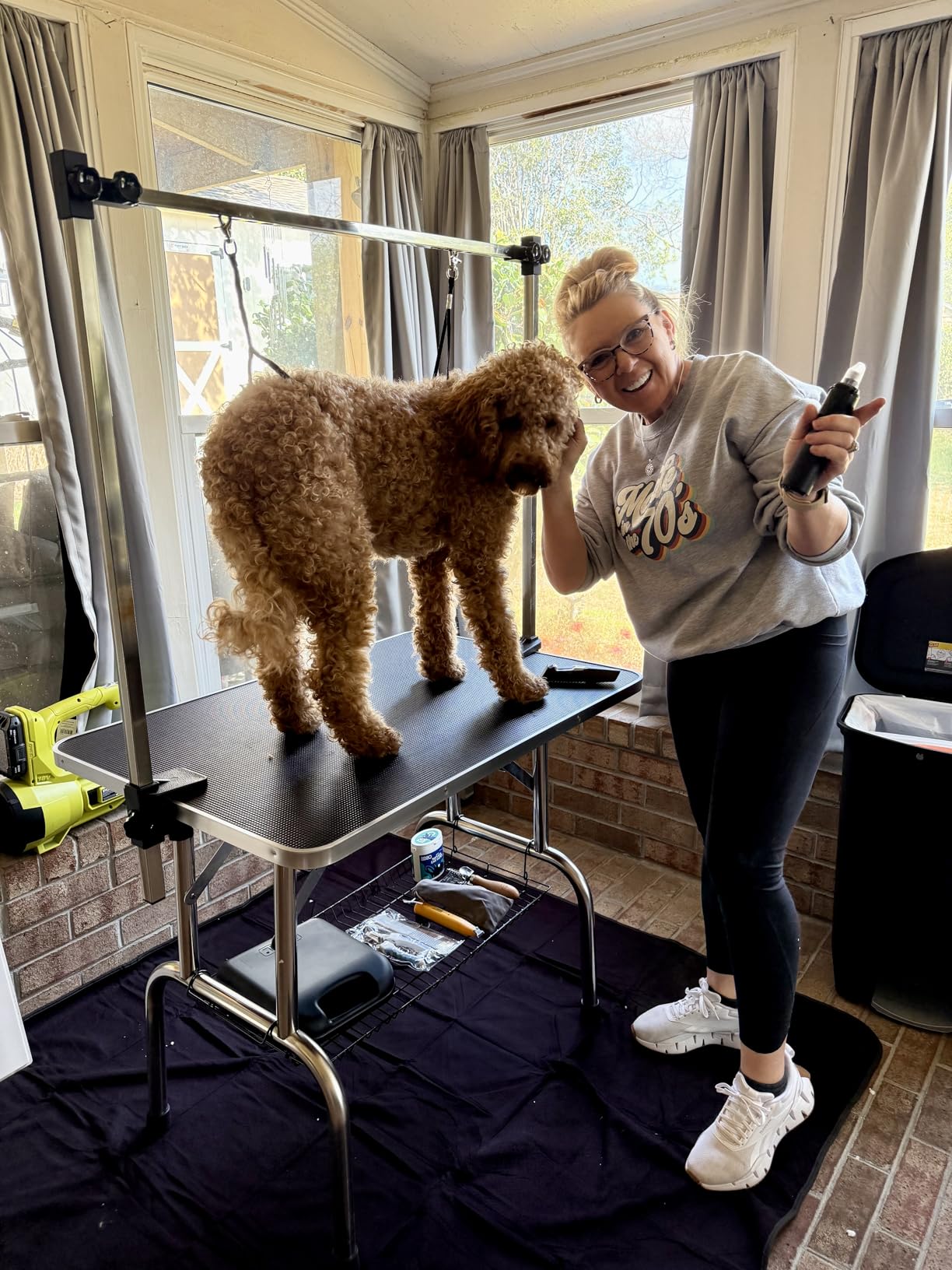 Lyromix 42'' Stainless Steel Pet Dog Grooming Table, Arm/Noose/Tray, Purple customer photo 2