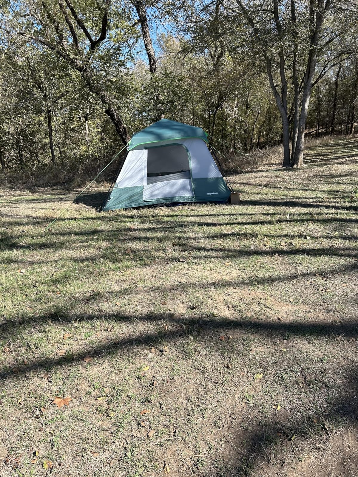Amazon Basics Instant Camping Tent with Rainfly, Weather-Resistant, Quick Setup customer photo 2